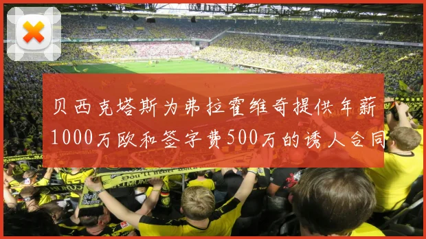 贝西克塔斯为弗拉霍维奇提供年薪1000万欧和签字费500万的诱人合同