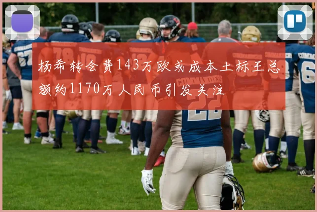 杨希转会费143万欧或成本土标王总额约1170万人民币引发关注